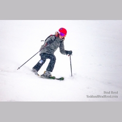 Brad Reed\'s Day 40 of 366