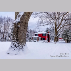 Brad Reed\'s Day 41 of 366