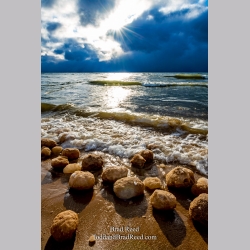 Brad Reed\'s Day 44 of 366