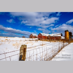 Brad Reed\'s Day 45 of 366