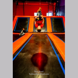 Brad Reed\'s Day 46 of 366