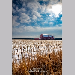 Brad Reed\'s Day 47 of 366