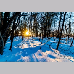 Rachel\'s Day 47 of 366 - February 16, 2020