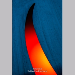 Brad Reed\'s Day 48 of 365