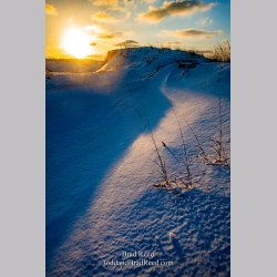 Brad Reed\'s Day 52 of 366