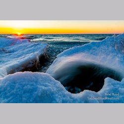 Brad Reed\'s Day 54 of 366