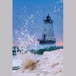 Brad Reed\'s Day 58 of 366