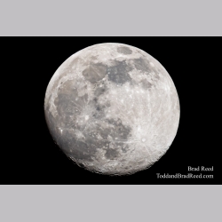 Brad Reed\'s Day 67 of 366