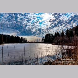 Rachel\'s Day 68 of 366 - March 8, 2020