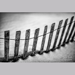 Brad Reed\'s Day 76 of 366