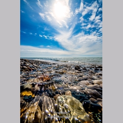 Brad Reed\'s Day 87 of 366