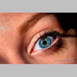 Brad Reed\'s Day 89 of 366