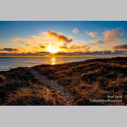 Brad Reed\'s Day 95 of 366