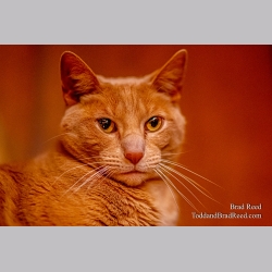 Brad Reed\'s Day 96 of 366