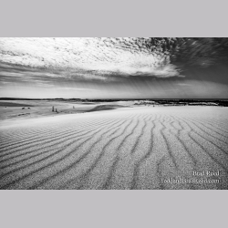 Brad Reed\'s Day 102 of 366
