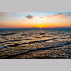 Brad Reed\'s Day 108 of 366