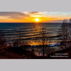Rachel\'s Day 109 of 366 - April 18, 2020
