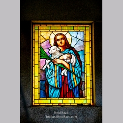 Brad Reed\'s Day 118 of 366