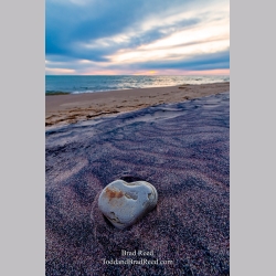 Brad Reed\'s Day 126 of 366