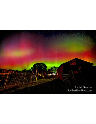 Cherished Aurora