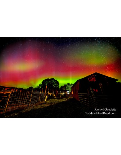 Cherished Aurora