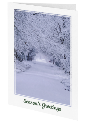 Christmas Greeting Card: Snow Clad Morning