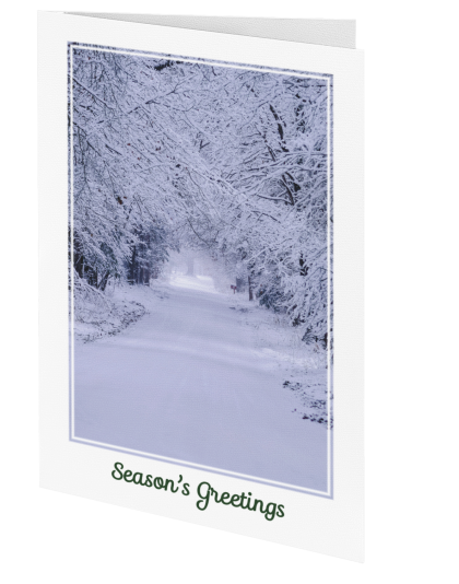 Christmas Greeting Card: Snow Clad Morning