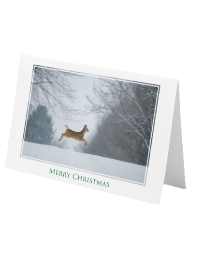Christmas Greeting Card: Prancer