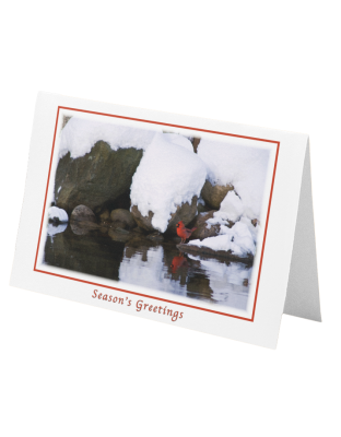 Christmas Greeting Card: Winter Spark