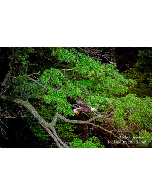 Environmental Portrait