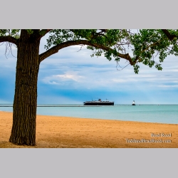 Brad Reed\'s Day 164 of 366 - June 12, 2020
