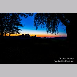 Rachel Gaudette\'s Day 171 of 366 - June 19, 2020