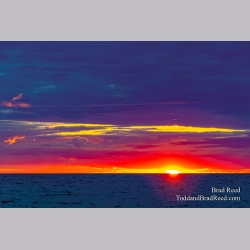 Brad Reed\'s Day 175 of 366 - June 23, 2020