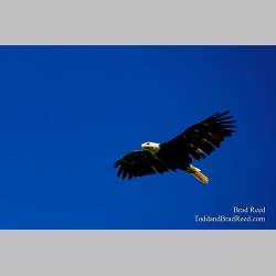 Brad Reed\'s Day 179 of 366 - June 27, 2020