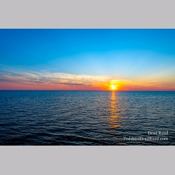 Brad Reed\'s Day 183 of 366 - July 1, 2020
