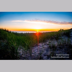 Rachel Gaudette\'s Day 194 of 366 - July 12, 2020 