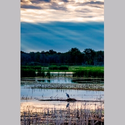 Brad Reed\'s Day 198 of 366 - July 16, 2020