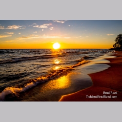 Brad Reed\'s Day 201 of 366 - July 19, 2020