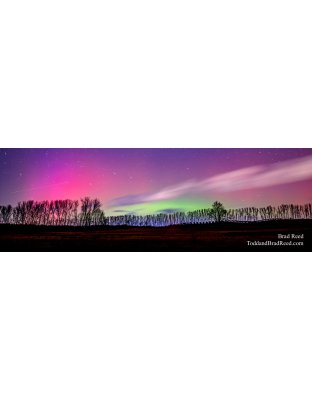 Kinney Aurora