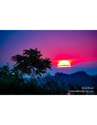 Tropic Manistee