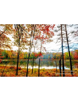 Dollar Lake