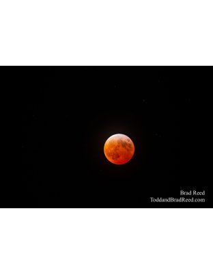 Lunar Blood Moon Eclipse
