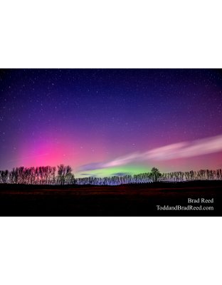 Kinney Aurora
