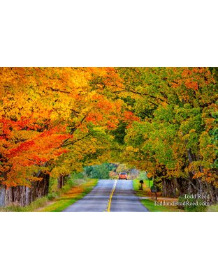 What A Drive