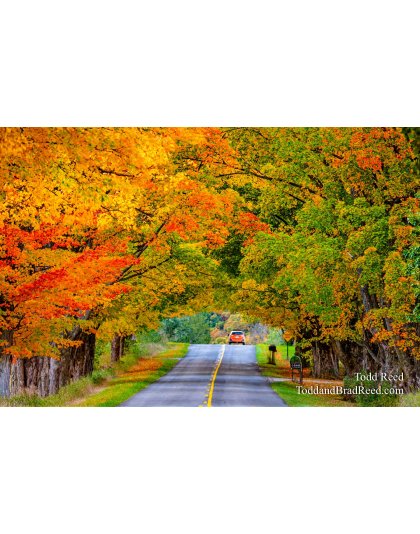 What A Drive