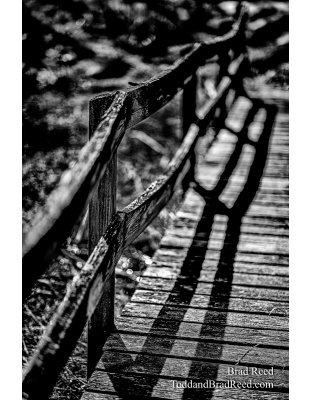  Walk the Line