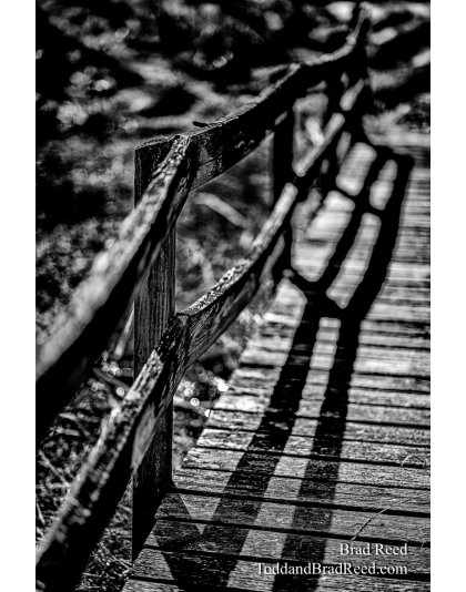  Walk the Line