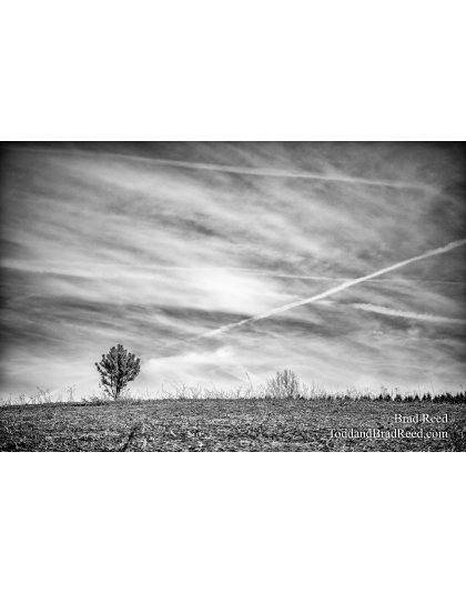 Sky Line