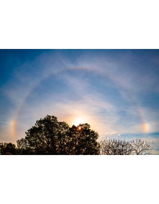 Conrad Sun Bow