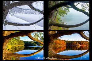 Quad 10 x 15 inch prints